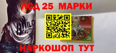 индика Баксан