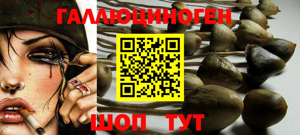 Псилоцибиновые грибы мицелий Губкинский